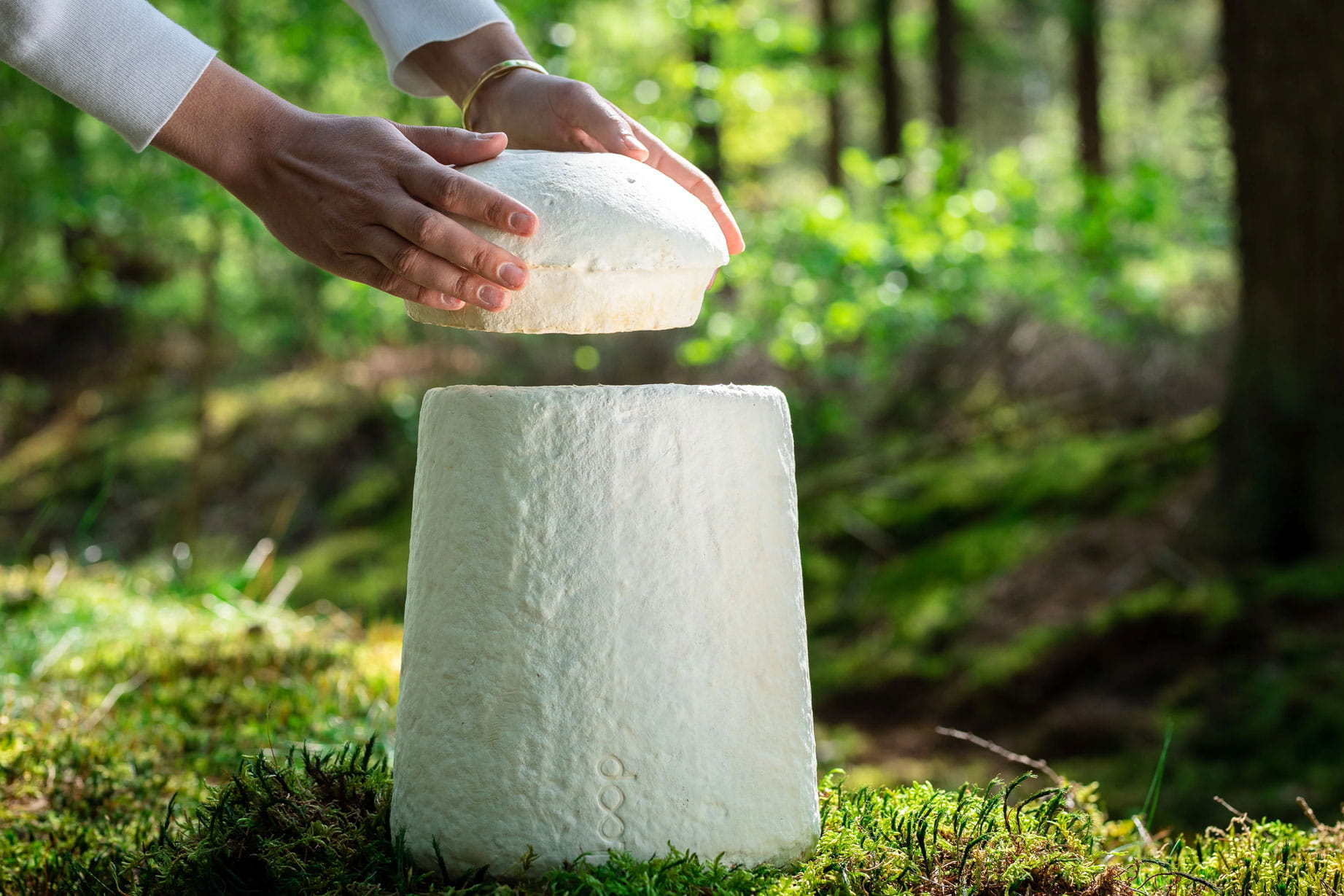 Loopbiotech-Earthrise