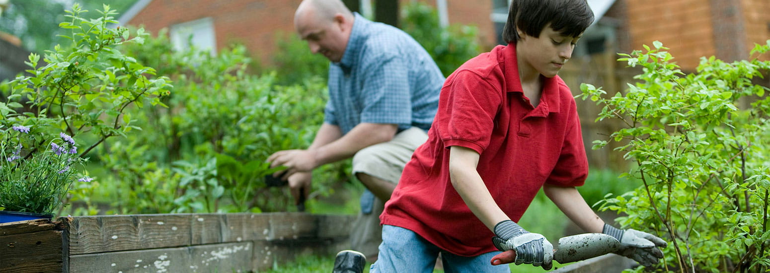 Twee personen werken samen in een groene tuin met verhoogde plantenbakken. Een persoon gebruikt tuingereedschap bij een struik, terwijl een andere persoon op de achtergrond planten verzorgt.